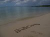 Une très grande pensée aujourd'hui jeudi 18 octobre 2012  pour mon petit chien Blacky ♥ de la plage Anse du souffleur à Port-Louis en Guadeloupe