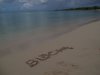 Une très grande pensée aujourd'hui jeudi 18 octobre 2012  pour mon petit chien Blacky ♥ de la plage Anse du souffleur à Port-Louis en Guadeloupe